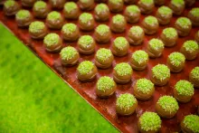 Petits fours à la pâte d’amande